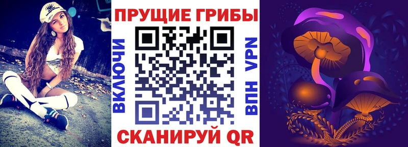 Псилоцибиновые грибы Cubensis  где купить наркоту  Минеральные Воды 