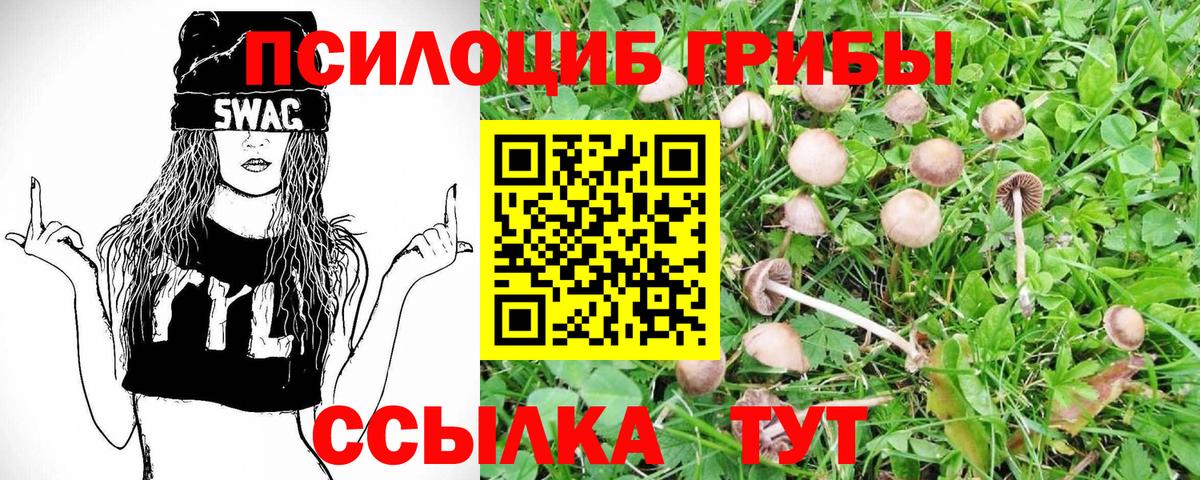 Минеральные Воды  Псилоцибиновые грибы мухоморы  Вход с VPN  Галлюциногенные грибы мицелий 